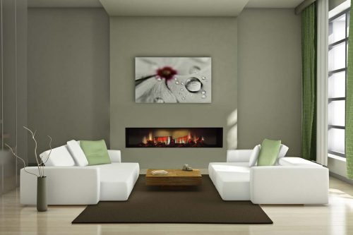 dimplex-double-opti-virtual-image